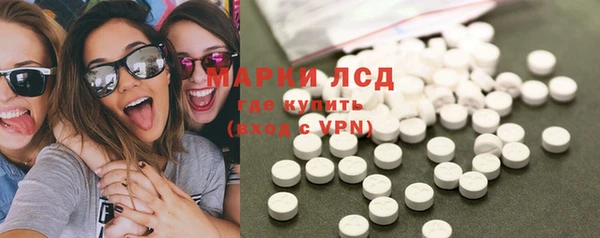 прущие грибы Нефтекумск