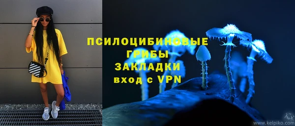 прущие грибы Нефтекумск