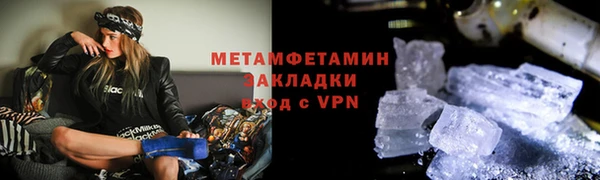 прущие грибы Нефтекумск