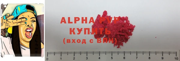 прущие грибы Нефтекумск