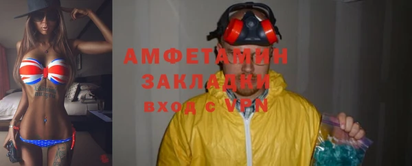 прущие грибы Нефтекумск
