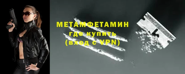 прущие грибы Нефтекумск