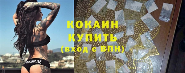 прущие грибы Нефтекумск