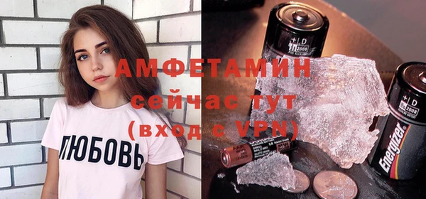 прущие грибы Нефтекумск