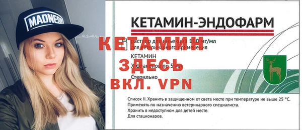 прущие грибы Нефтекумск