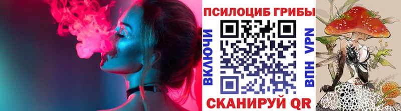 сколько стоит  Задонск  Псилоцибиновые грибы Psilocybine cubensis 