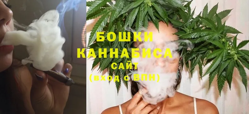 купить наркоту  Задонск  Конопля White Widow 